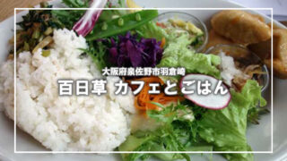 [百日草 カフェとごはん]羽倉崎へランチを食べに行くライド
